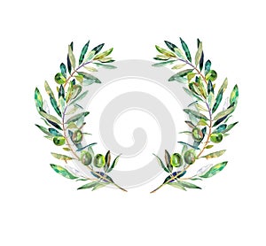 The crown of olive branches is green with olives isolated on a white background as a wreath.