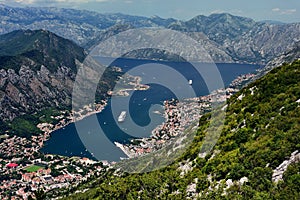 Cruise ships at tender in Kotor Bay