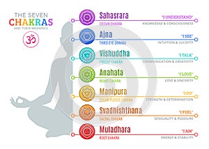The Seven Chakras and their meanings photo