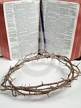 The crown of thorn with a bible