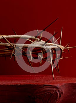 Crown thorn thorny red blood background close up
