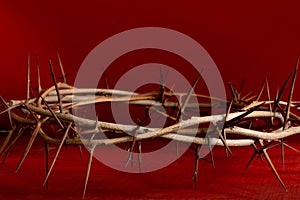 Crown thorn thorny red blood background close up photo