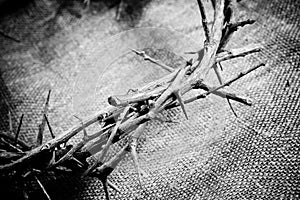 Crown of thorns