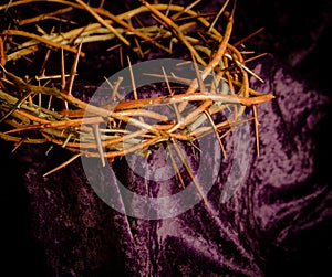 Crown of thorns