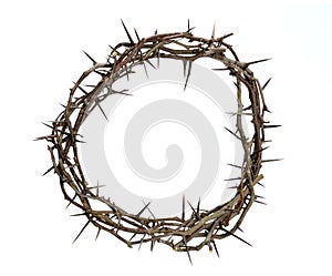 Crown of Thorns photo