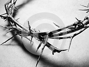Crown of Thorns