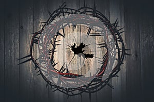 Crown of Thorns art concept