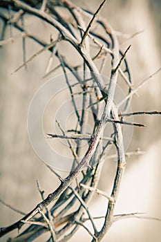 Crown of thorns as a symbol of death and resurrection of Jesus Christ. Religion concept