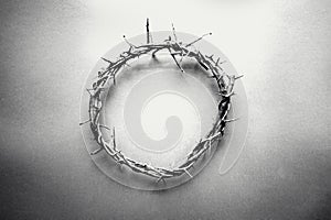 Crown of Thorns in Black and White