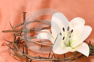 Crown of Thorns, crucifix and white Lily