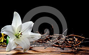 A crown of thorns and a Easter Lilly on a black background with copy space