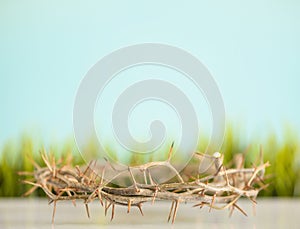 A crown of thorns and grass easter background