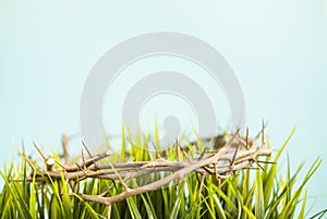 A crown of thorns and grass easter background