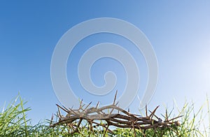Crown of thorns on grass, easter background
