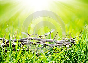 Crown of thorns in green grass at sunny day. Easter background