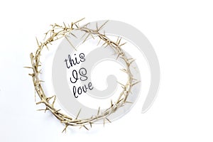 Crown of Thorns isolated on a white background