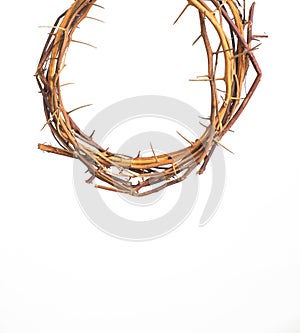 Crown Thorns on iSolated White Background