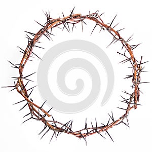 Crown of thorns Jesus Christ