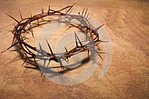 Crown of thorns