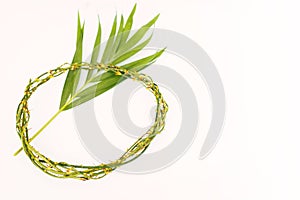 Crown of thorns with palm leaves on white background.