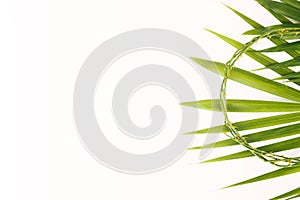 Crown of thorns with palm leaves on white background.