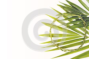 Crown of thorns with palm leaves on white background