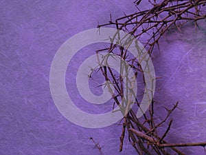 Koruna z trní na purpurová 