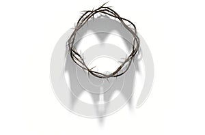 Crown Of Thorns With Royal Shadow