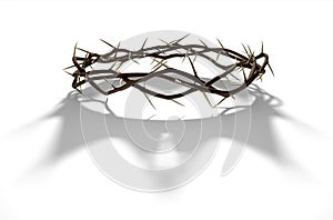 Crown Of Thorns With Royal Shadow