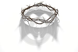 Crown Of Thorns With Royal Shadow photo