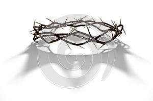 Crown Of Thorns With Royal Shadow photo