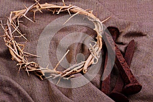 Crown of Thorns & Spikes photo