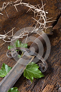 Crown of thorns and sword photo