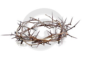 Crown of thorns on a white background