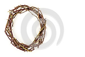 Crown of thorns on white background