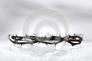 Crown on Thorns on White Background