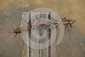 Crown of thorns on wooden plank against blurred background. Easter attribute