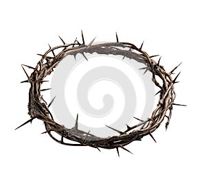 Crown of Thorns worn by Jesus Christ is a powerful easter symbol of his suffering and sacrifice isolated Transparent png thorny