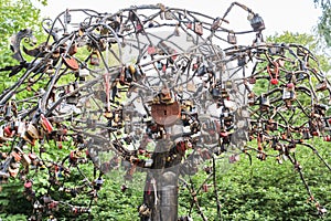 Crown of the tree of desires.