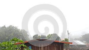 Crowns of trees and rooftops shine through the thick morning fog on an autumn morning