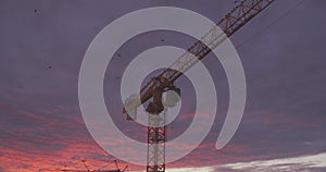 Crows flying over a crane at construction site in the golden light of a sunset