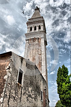 Crows and Old Belfry