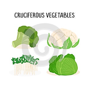 Cruciferous vegetables vector flat illustration set, isolated on white background