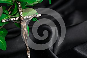 Crucifix Cross leaf on black background