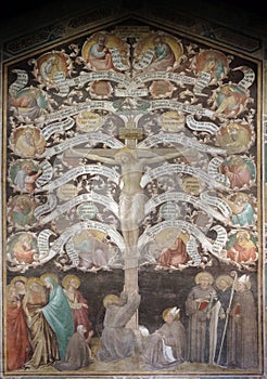 Crucifixion represented as Tree of Life, Basilica di Santa Croce in Florence