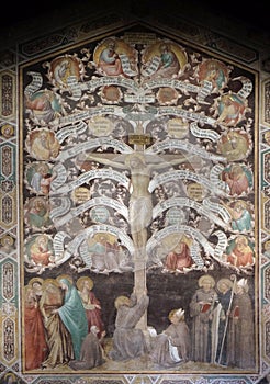 Crucifixion represented as Tree of Life, Basilica di Santa Croce in Florence