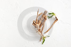 Crude chicory root Cichorium intybus with leaves on a white background