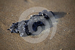 Crude oil spillage washed ashore on a beach