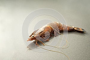 Crude uncooked Prawn  on a grey stone kitchentable