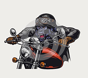 Cruel gorilla biker vintage colorful concept